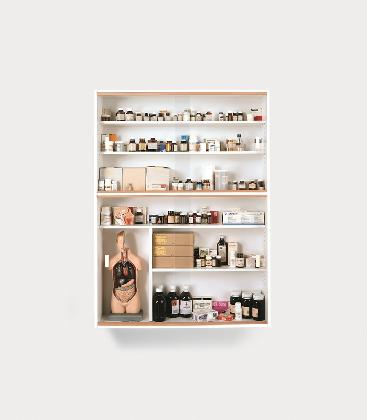 ‹Sinner›, 1988, Glass, faced particleboard, beech, plastic, aluminium, anatomical model, scalpels and pharmaceutical packaging, 137.2 × 101.6 × 22.9 cm. Private Collection. © Damien Hirst and Science Ltd. All rights reserved, DACS 2026. Photographed by Prudence Cuming Associates