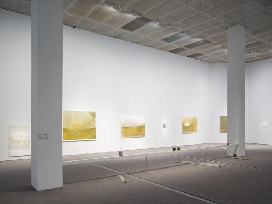 Installation view of Lee Hai Min Sun's exhibition, Korea Artist Prize. Courtesy of MMCA. Photograph by Hong Cheolki.