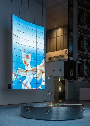 MMCA X LG OLED 시리즈 2025 - 추수 전시전경, 사진: 홍철기