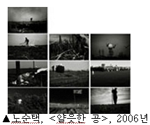 노순택, <얄읏한 공>, 2006년