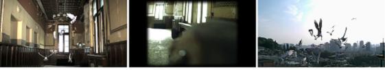 Bird's Eye View(새의 시선), 2008, 3채널 설치, 10min