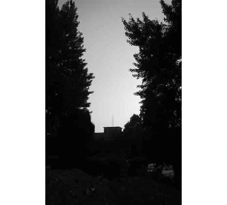 노순택, <애처로운 애정의 거창한 욕망 # IX-081401>, 2009