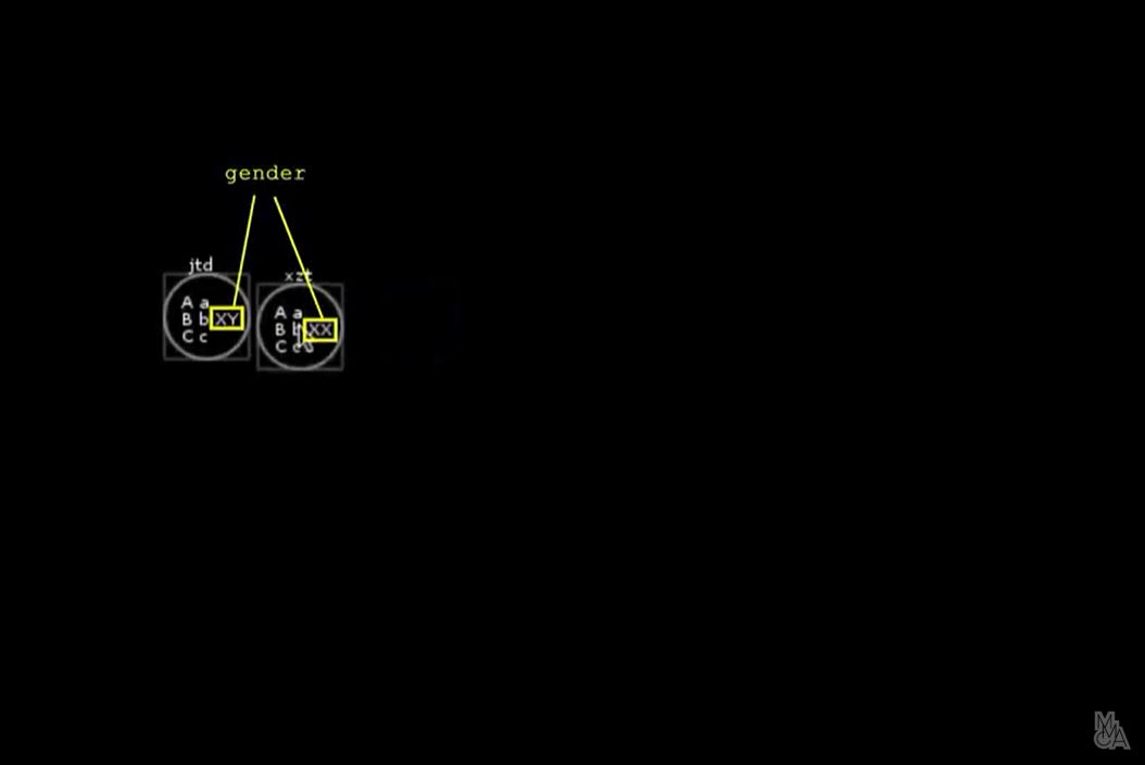 국립현대미술관 개관 특별전 알레프 프로젝트 tacit.perform[3] 2013.12.21-12.22