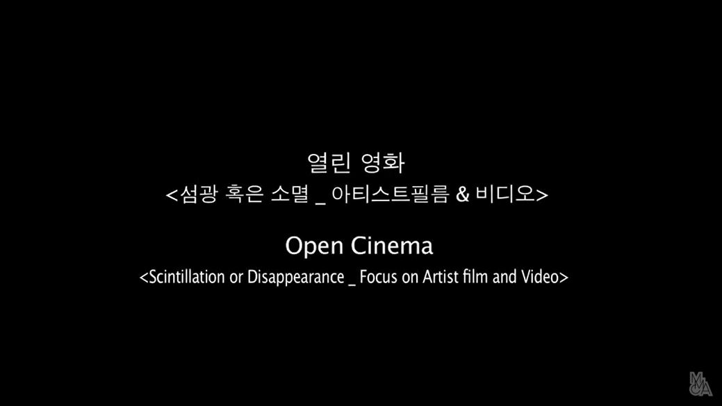 섬광 혹은 소멸_아티스트필름&비디오 개막작 감독 마린 위고니에