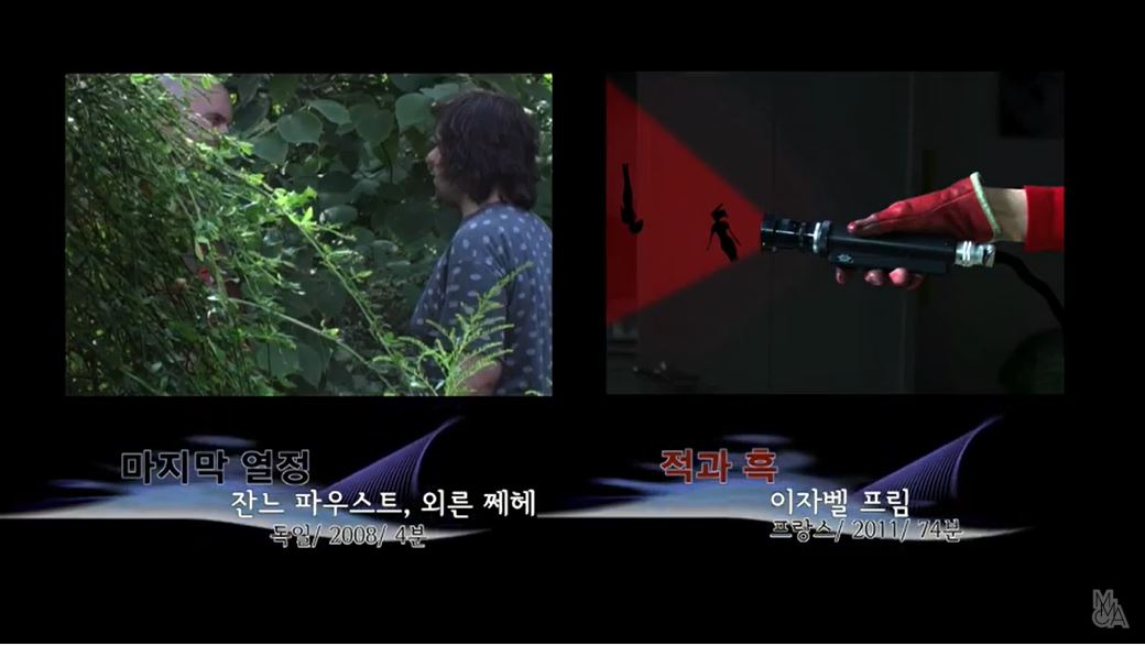 [MMCA필름앤비디오] GV 마지막 열정(Said Death to Passion), 적과 흑(La rouge et la noire)