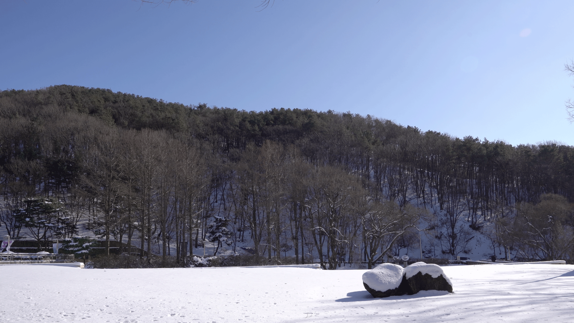 winter in Gwacheon