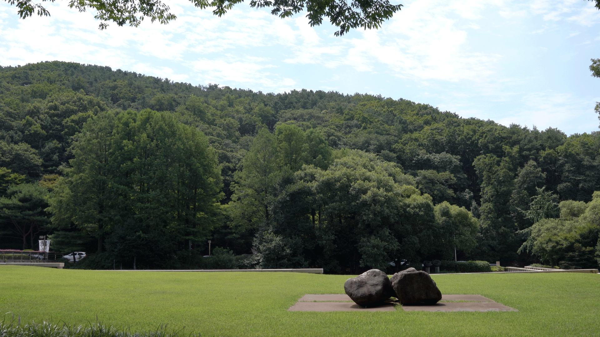 summer in Gwacheon