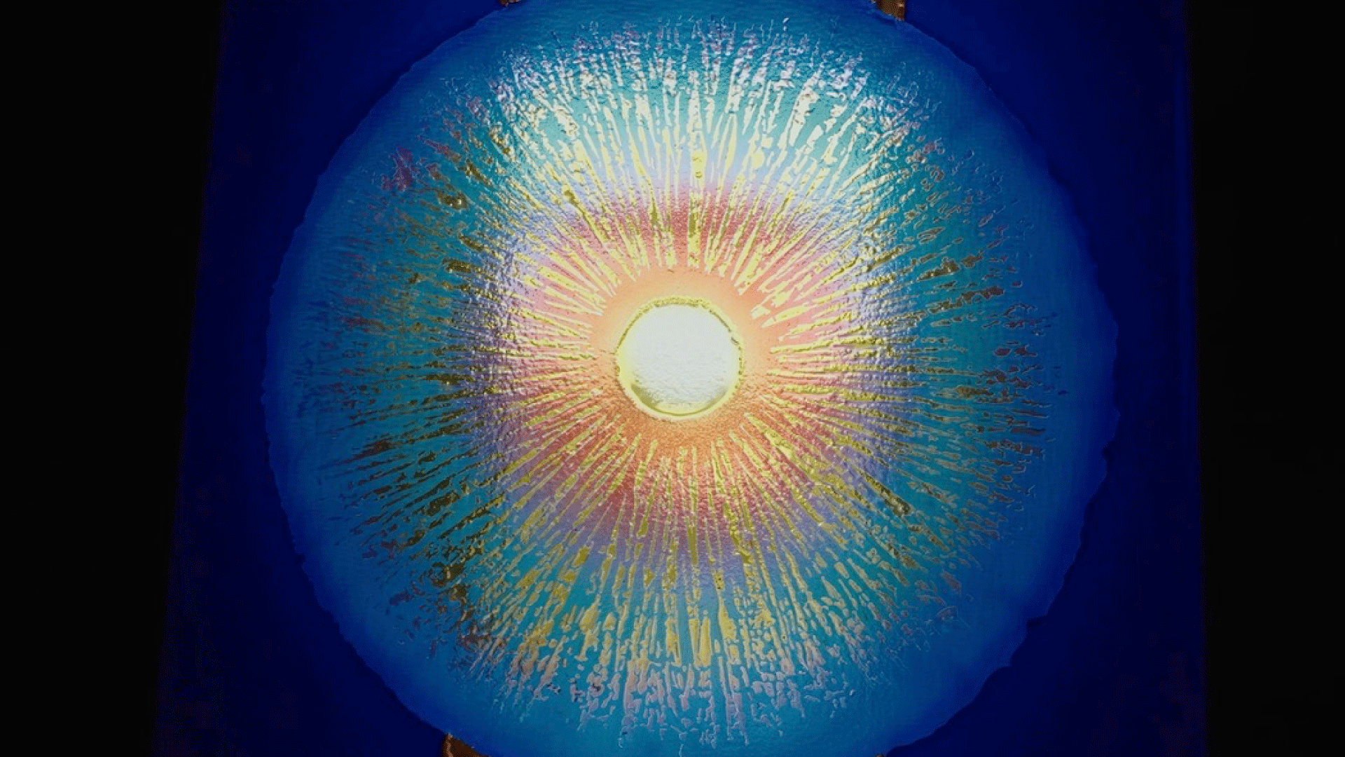 Bang Hai Ja: Sowing Light Across Heaven and Earth | Curator Exhibition Tour