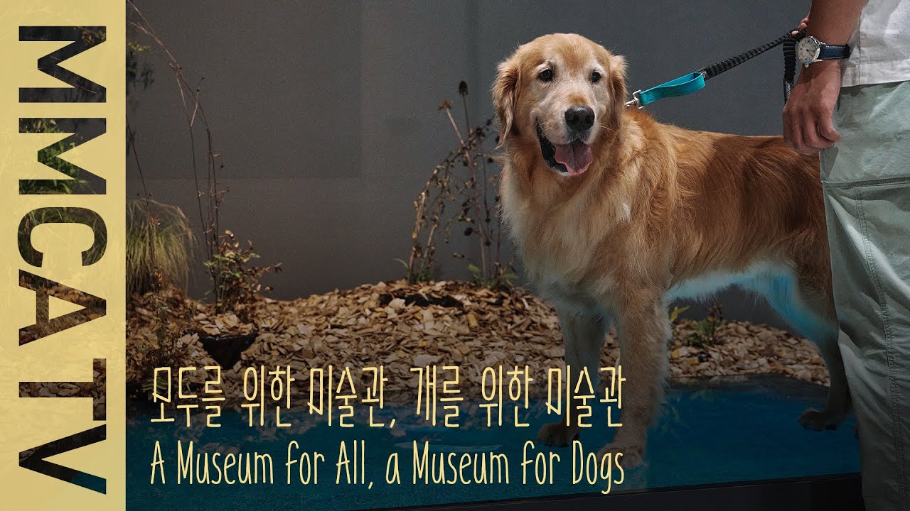 국립현대미술관 큐레이터와 참여 작가의 설명으로 보는《모두를 위한 미술관, 개를 위한 미술관》